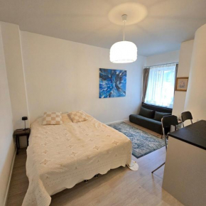 Cozy city apartment in Helsinki city center, Helsinki